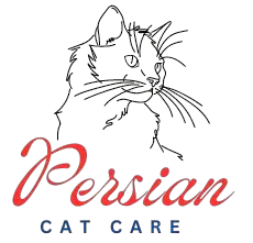 Persian cat care