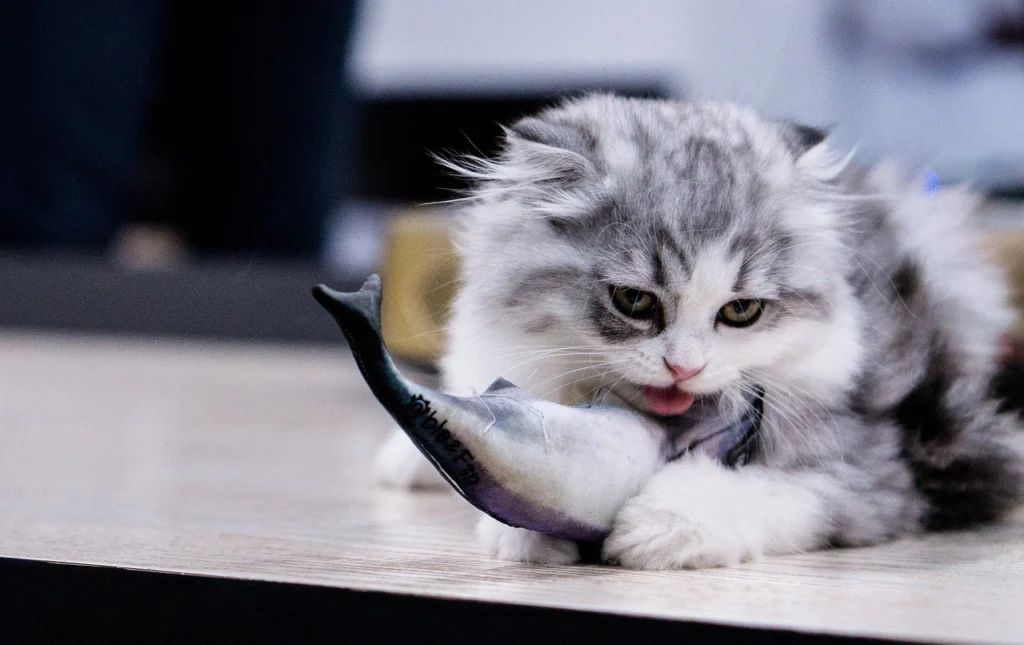 Which fish is good for cat?